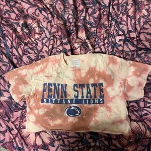 Penn state / psu crop top